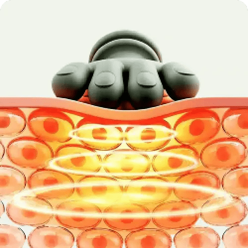 Kuschelmasseur - Kuschelplus